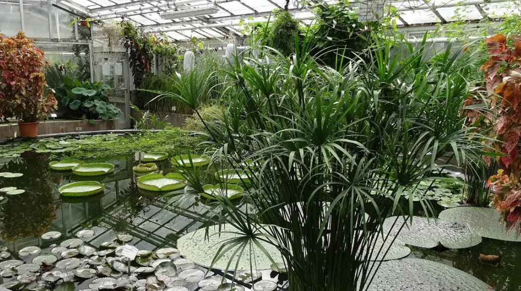 Giessen Botanical Garden, Giessen, Germany, Germany